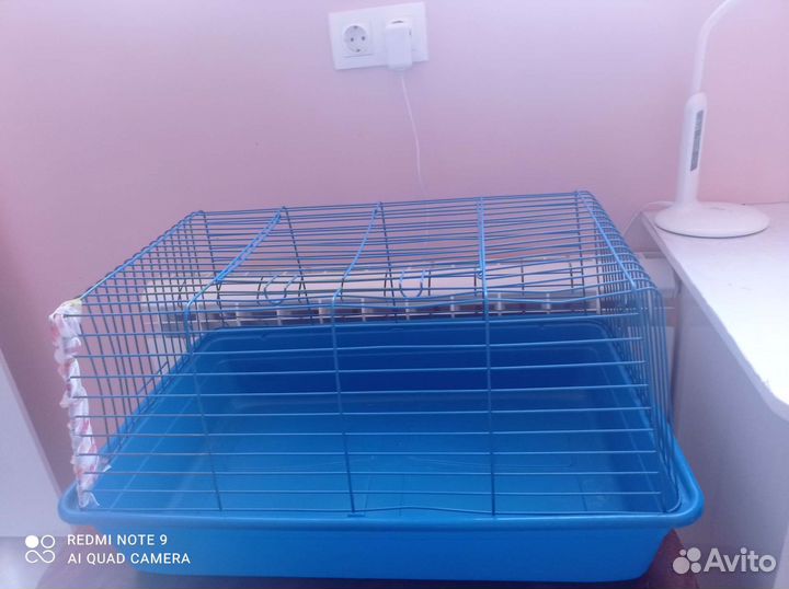 Всё необходимое для кролика