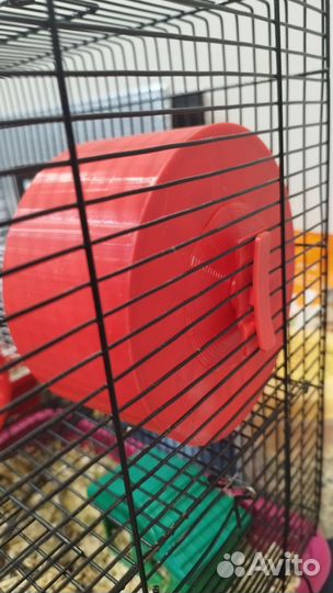 Беговое колесо для грызуна хомяка