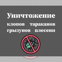 Дезинфекция уничтожение тараканов, клопов