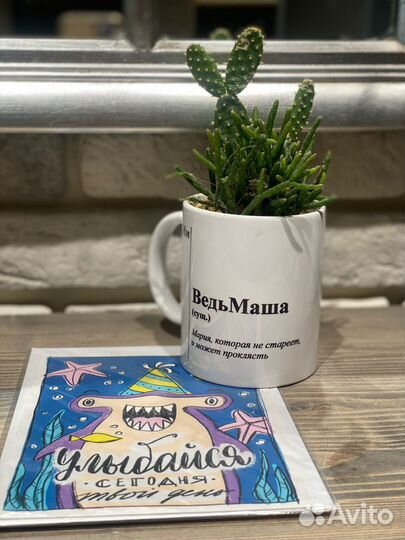 Именные кружки с кактусами