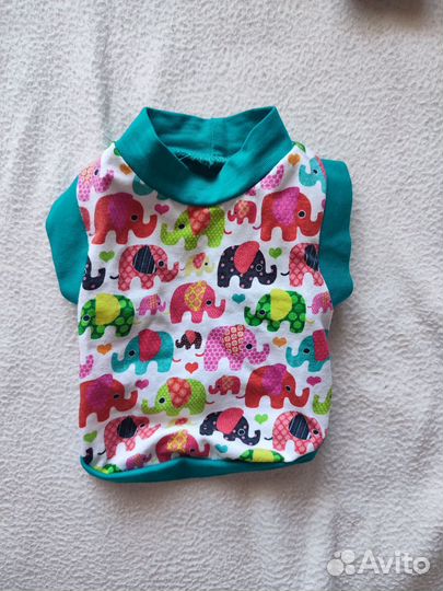 Одежда для маленьких пород собак