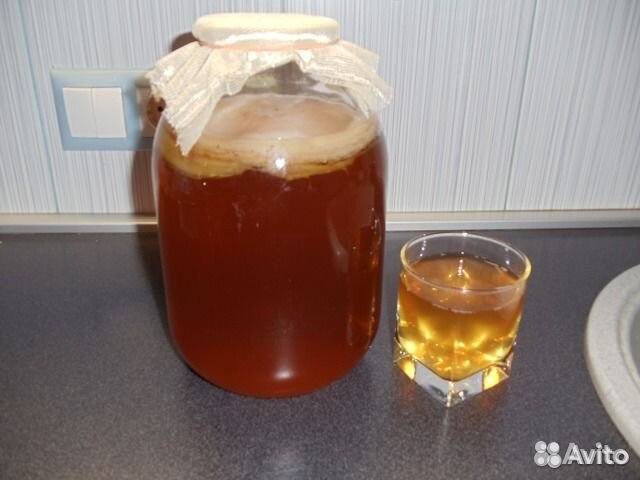 Чайный гриб