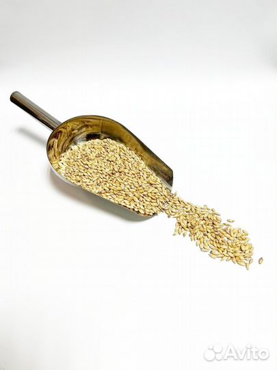 Совок для солода