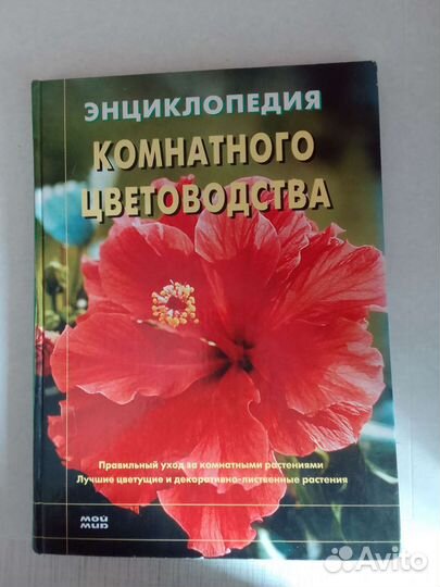 Энциклопедия комнатных растений