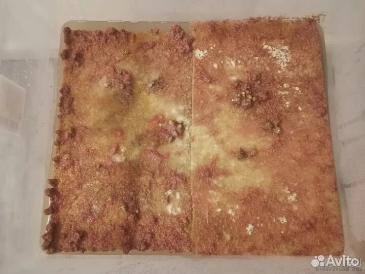 Живой корм для аквариумных рыбок