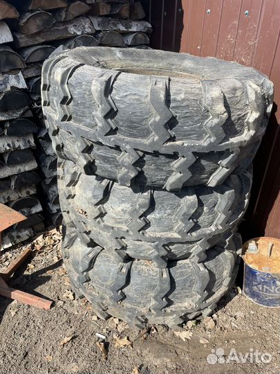 Ободрыши с дисками