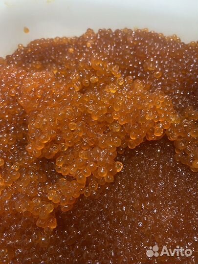 Икра горбуши 2023