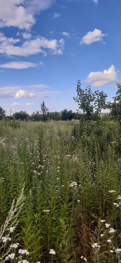 Дача 20 м² на участке 18 сот.