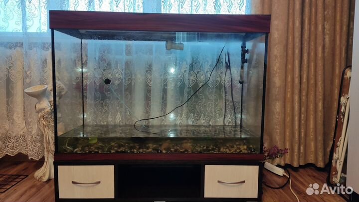 Аквариум без тумбы