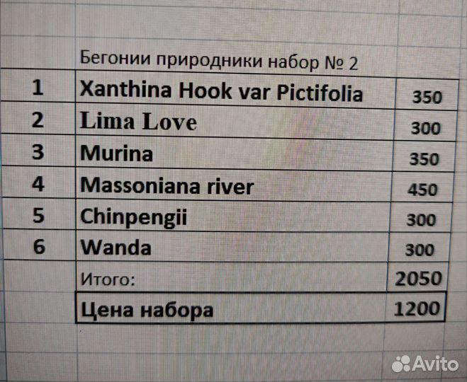 Наборы бегоний-природников