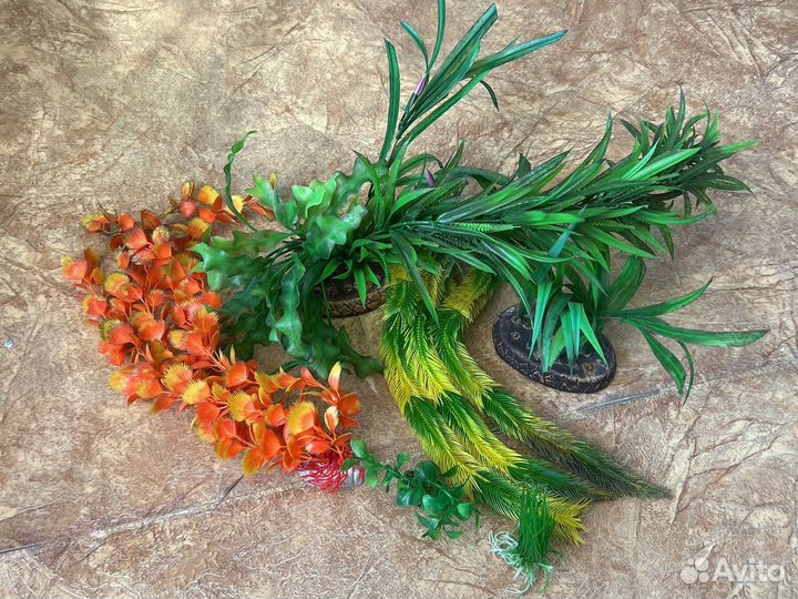 Дизайн для аквариума