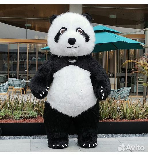 Аниматор панда