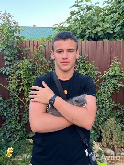 Любая работа, подработка