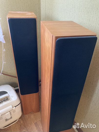 Напольные ас Tannoy Revolution R2