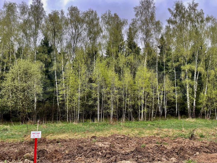 Участок 15 сот. (ИЖС)