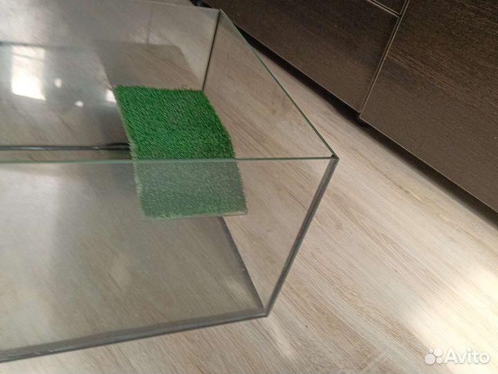 Черепашник