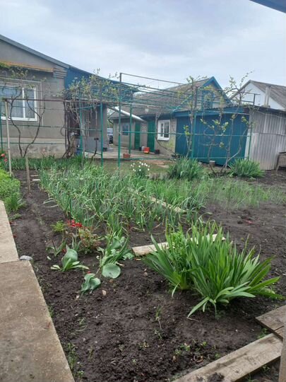 Дом 90 м² на участке 12 сот.