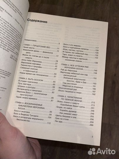 Книга «Код Средневековья. Иероним Босх»