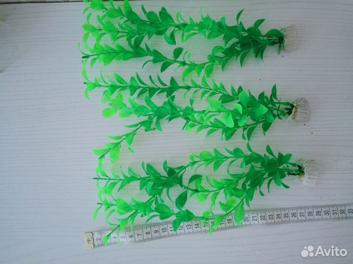 Для аквариума