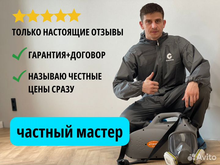 Дезинсекция, уничтожение насекомых. Частный мастер