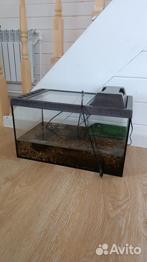 Аквариум+фильтр+нагреватель для черепахи