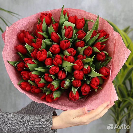 Тюльпаны оптом / Тюльпаны на 8 марта