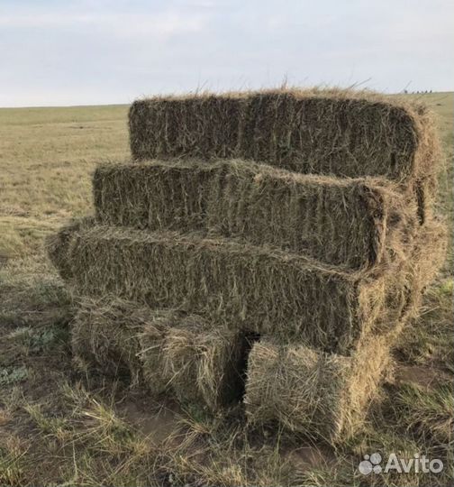 Сено в тюках