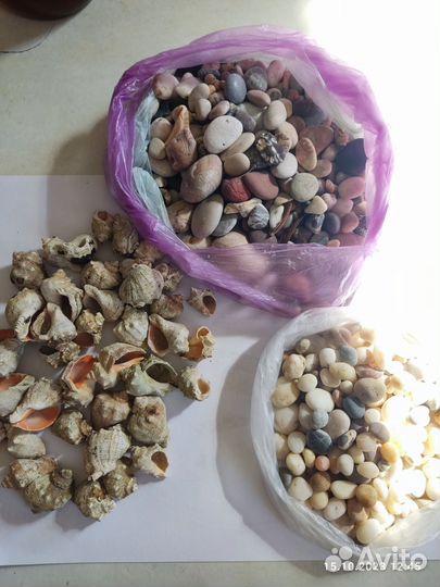 Морские камешки и ракушки