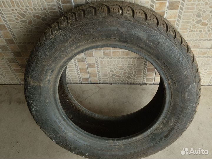 Nord Wolf Cargo 195 R15