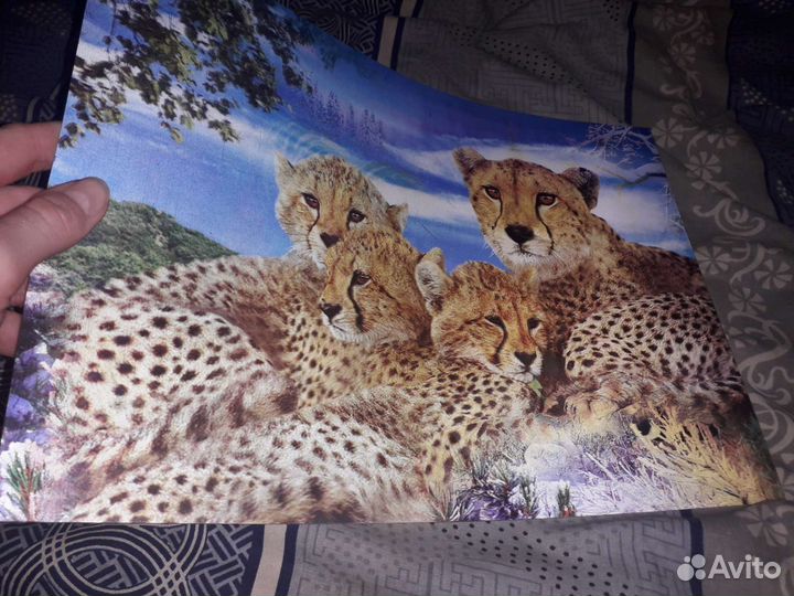 Голографическая картина