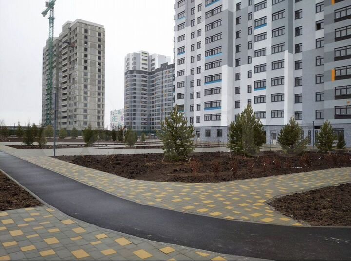 Квартира-студия, 24,6 м², 5/19 эт.