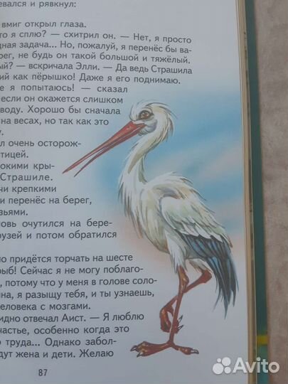 Волшебник изумрудного города Канивец