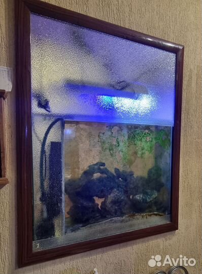 Аквариум,Террариум