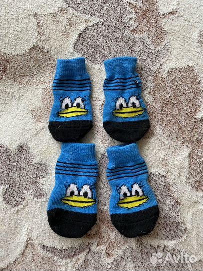 Носки для собак