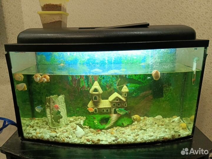 Аквариум с рыбками