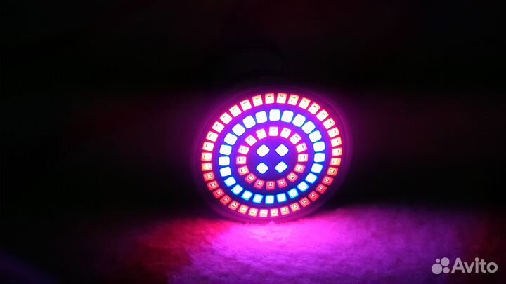 Фитолампа Е27