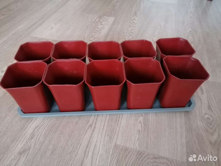Набор для рассады