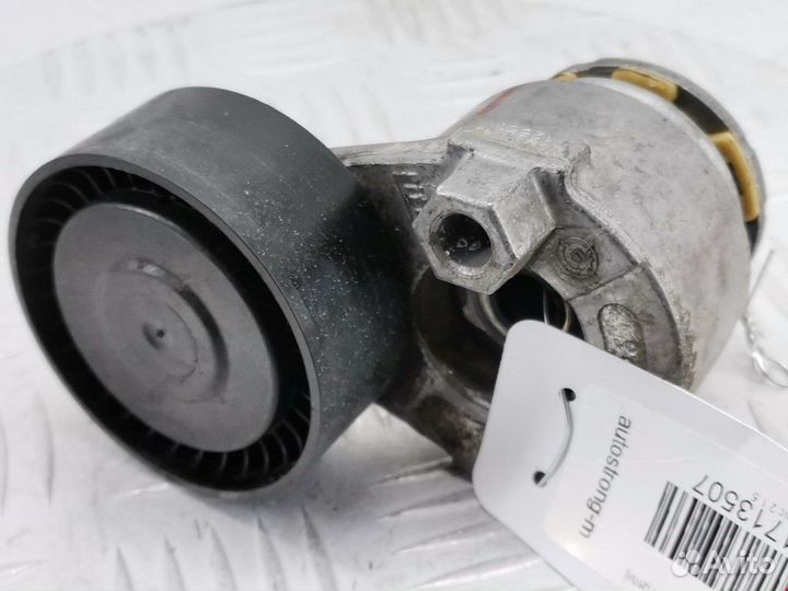 Натяжитель Renault Scenic 2 2005 117503662R