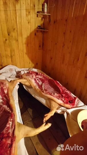 Мясо свинина домашняя