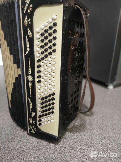 Баян Беларусь