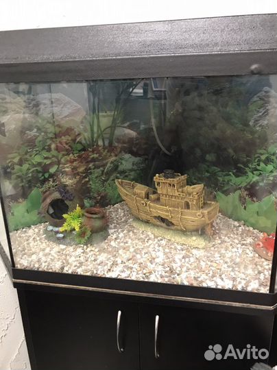 Аквариум с тумбой 70 л