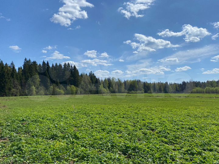 Участок 100 сот. (ИЖС)