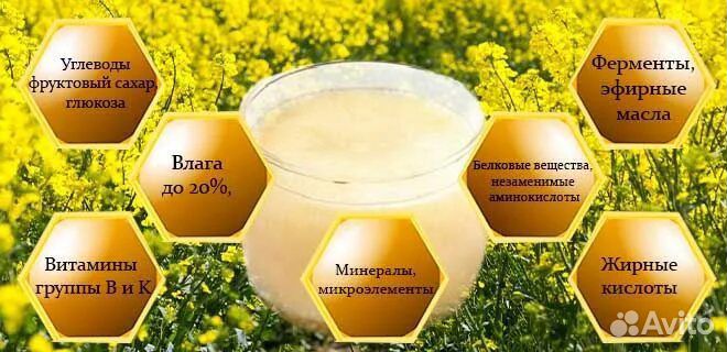 Рапсовый мёд 2023
