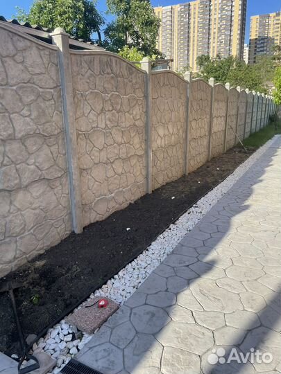 Туи smaragd смарагд