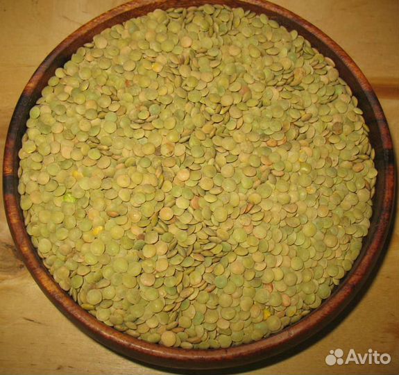 Чечевица зеленая