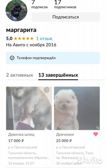 Отдам белую деву шпица 1,5 года и той-терьера 6лет