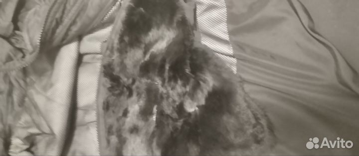 Куртка мужская