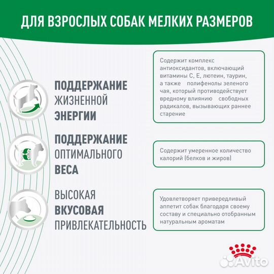 Корм для собак Royal canin mini adult 8 + 2 кг