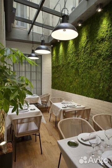 Оформление и озеленение кафе, баров и ресторанов
