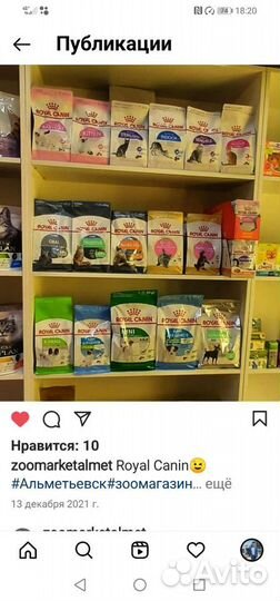 Корм лотки наполнитель витамины